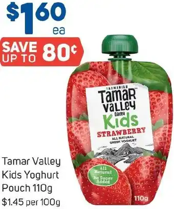Foodland Tamar Valley Kids Yoghurt Pouch 110g offer