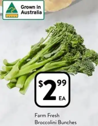 Foodworks Farm Fresh Broccolini Bunches offer
