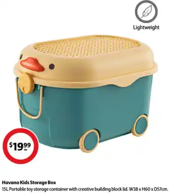 Coles Havana Kids Storage Box offer