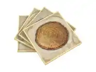 Annual Ring 4 Piece Wood Inlaid Resin Coaster Set