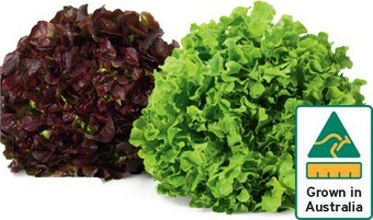 IGA Australian Red and Green Oak Lettuce offer