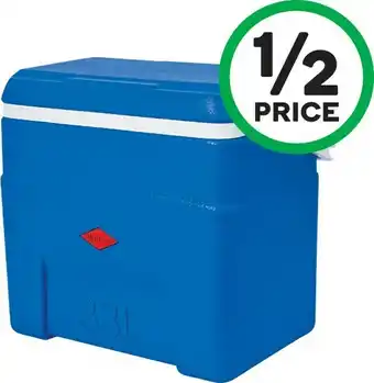 Woolworths Willow Cooler 33 Litre offer