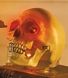 Woolworths Halloween Sound and Light Talking Skull offer