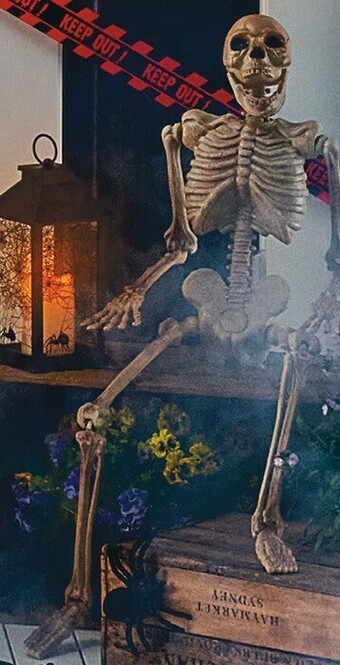 Woolworths Halloween Large Hanging Skeleton offer