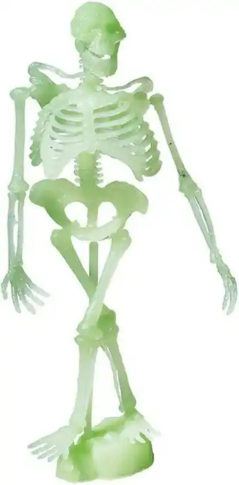 Woolworths Halloween DIY Glow in the Dark Skeleton Set offer