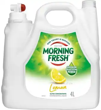 BIG W Morning Fresh Lemon Dishwashing Liquid 4-Litre offer