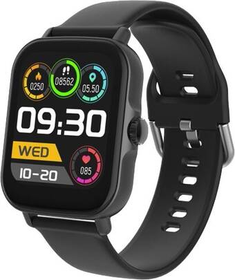 Apple watch at big on sale w