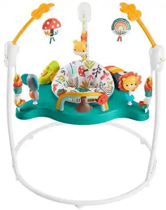 BIG W Fisher-Price Whimsical Forest Jumperoo offer