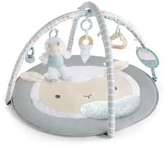 BIG W Ingenuity Sheppy’s Spot Plush Activity Gym offer