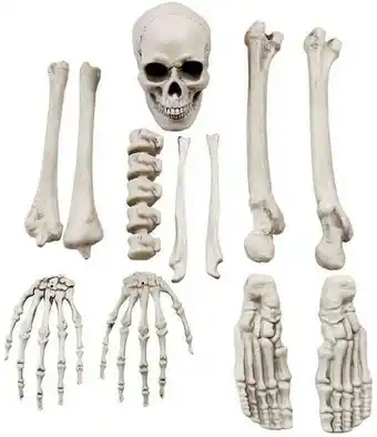 Spotlight 20% off Spooky Hollow Bag of Bones offer