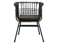 LivingStyles Starkville Rattan Dining Armchair offer