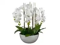 LivingStyles Diane Artificial Phalaenopsis Orchid in Pot, 50x75cm, White Flower / White Pot offer