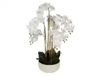 LivingStyles Real Touch Artificial Orchid in Ceramic Bowl, 100cm offer