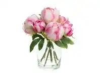 LivingStyles Stella Artificial Peony Bud Arrangement in Vase, 21cm, Pink Cream Flower offer