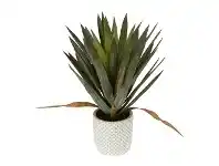 LivingStyles Artificial Yucca Gloriosa in Cement Pot, 48cm offer