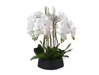 LivingStyles Babita Artificial Phalaenopsis Orchid in Pot, 73cm, White Flower / Black Pot offer