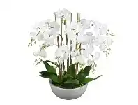 LivingStyles Diane Artificial Phalaenopsis Orchid in Pot, 48x75cm, White Flower / White Pot offer