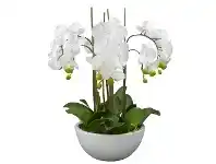 LivingStyles Diane Artificial Phalaenopsis Orchid in Pot, 55x55cm, White Flower / White Pot offer