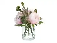 LivingStyles Lucia Artificial Peony Arrangement in Vase, 25cm, Cream Pink Flower offer