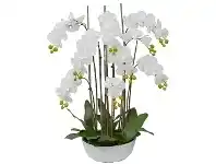 LivingStyles Diane Artificial Phalaenopsis Orchid in Pot, 48x95cm, White Flower / White Pot offer
