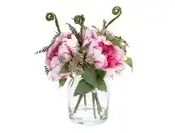 LivingStyles Lucia Artificial Peony Arrangement in Vase, 25cm, Pink Cream Flower offer
