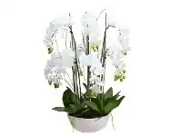 LivingStyles Diane Artificial Phalaenopsis Orchid in Pot, 65x100cm, White Flower / White Pot offer