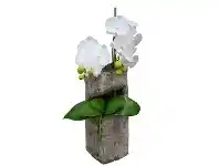 Asahi Artificial Phalaenopsis Orchid Arrangement, 65cm