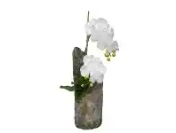 LivingStyles Ayaka Artificial Phalaenopsis Orchid Arrangement, 62cm offer