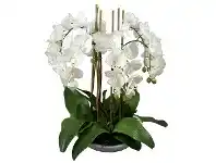 LivingStyles Montray Artificial Phalaenopsis Orchid in Pot, 65cm, White Flower offer