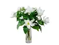 LivingStyles Astrid Artificial Magnolia Liliiflora in Vase, 60cm, White Flower offer