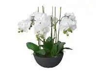 LivingStyles Diane Artificial Phalaenopsis Orchid in Pot, 55x55cm, White Flower / Black Pot offer