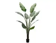 LivingStyles Potted Artificial Strelitzia Tree, 180cm offer