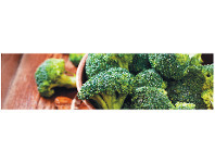 Farm Fresh Broccoli