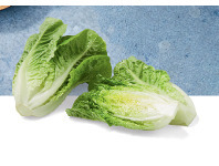 ALDI Australian Baby Cos Lettuce 2 Pack offer