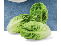 ALDI Australian Baby Gem Lettuce 3 Pack offer