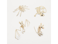 Kmart Animal Skeleton - Assorted offer