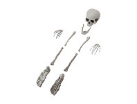 Kmart 10 Piece Bags of Bones offer