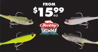 BCF Berkley SHIMMA PRO-RIG offer