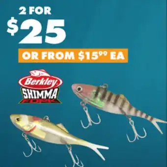 BCF Berkley SHIMMA offer