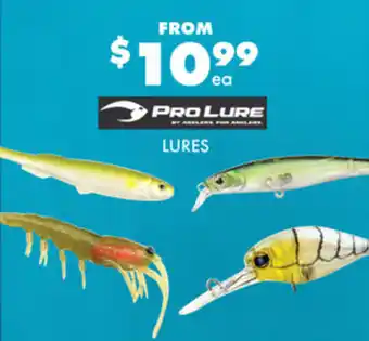 BCF PRO LURE LURES offer