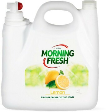 BIG W Morning Fresh Dishwashing Liquid 4-Litre offer