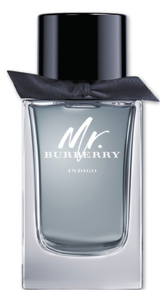 Good Price Pharmacy Burberry mr burberry indigo edt 150ml offer