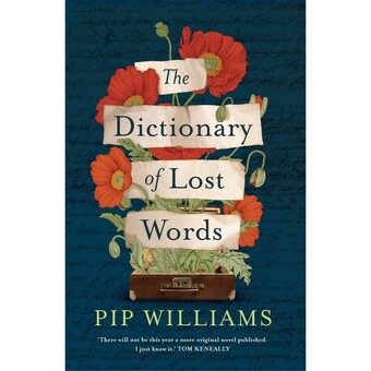 BIG W The dictionary of lost words offer
