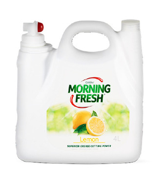 BIG W Morning fresh dishwashing liquid 4-litre offer
