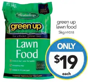 green up Lawn Food 5kg
