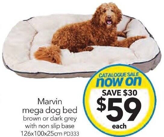 Marvin mega dog bed 126x100x25cm offer at Cheap as Chips