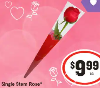 IGA Single Stem Rose offer