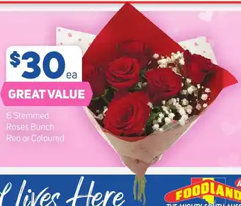 Foodland 6 Stemmed Roses Bunch Red or Coloured offer