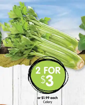 Spudshed Celery offer