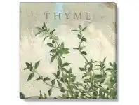 LivingStyles Bayport Stretched Canvas Wall Art Print, Thyme, Medium offer